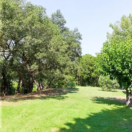 Les Du Merle Cogolin