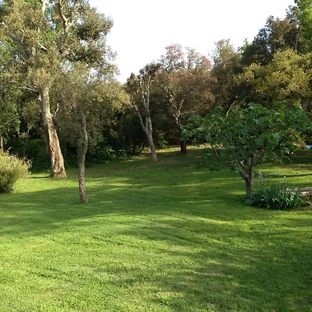 Hébergement de vacances Les Du Merle Cogolin