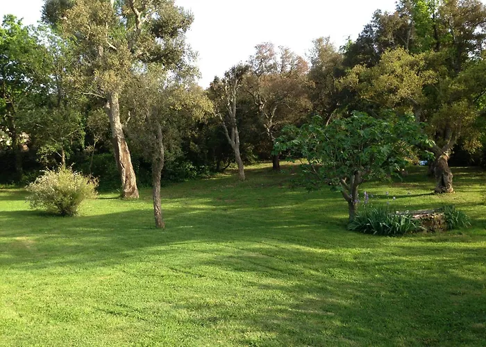 Nyaraló Les Du Merle Cogolin